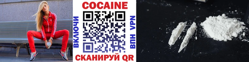 KRAKEN ONION  купить закладку  Сковородино  Cocaine Fish Scale 